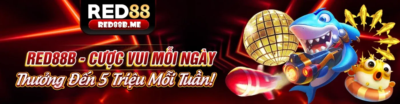 Tổng quan về GDPR và Zo88 Login